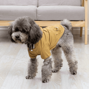 Roupinha Pet Parka com Pelúcia